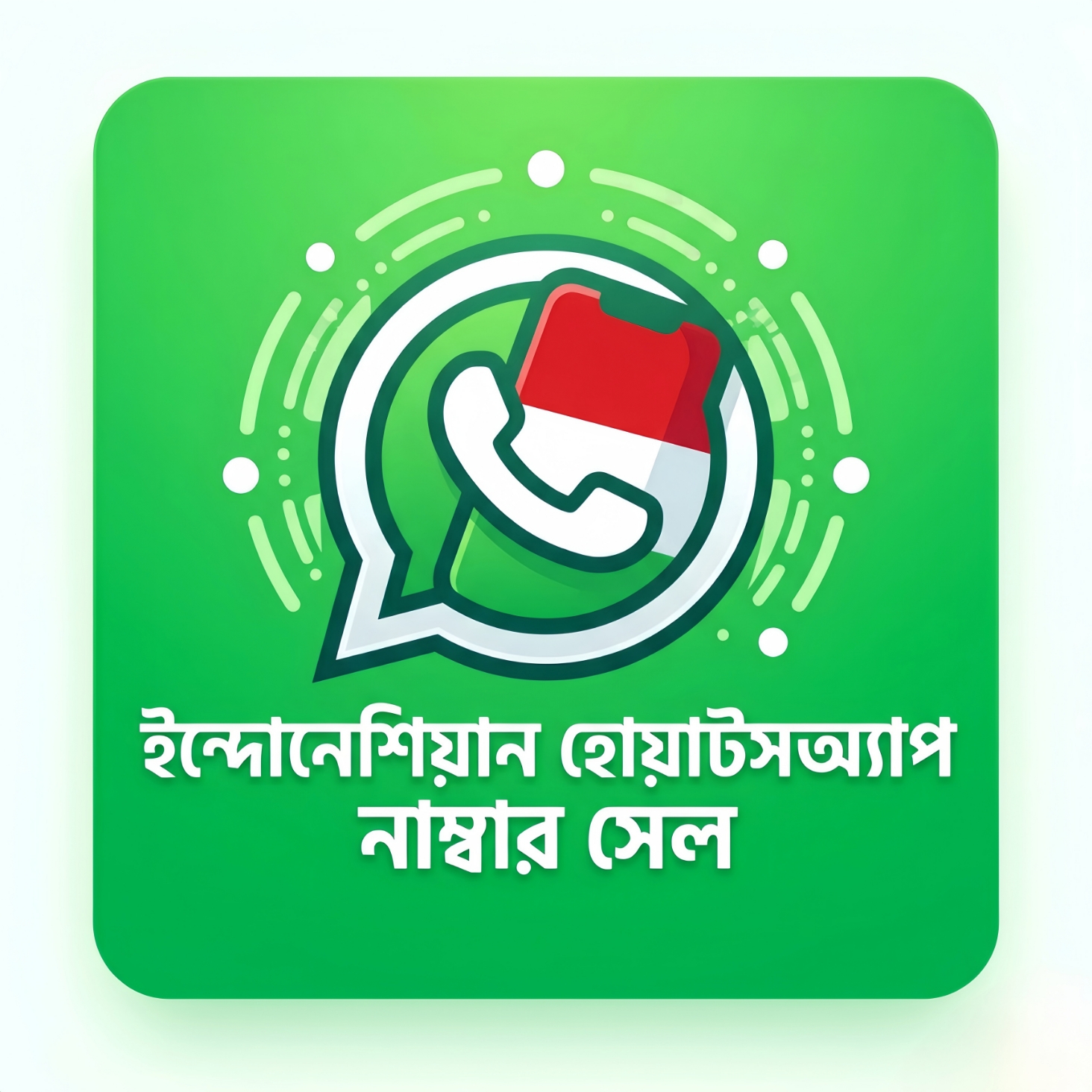Indonesia WhatsApp Number  🇮🇩